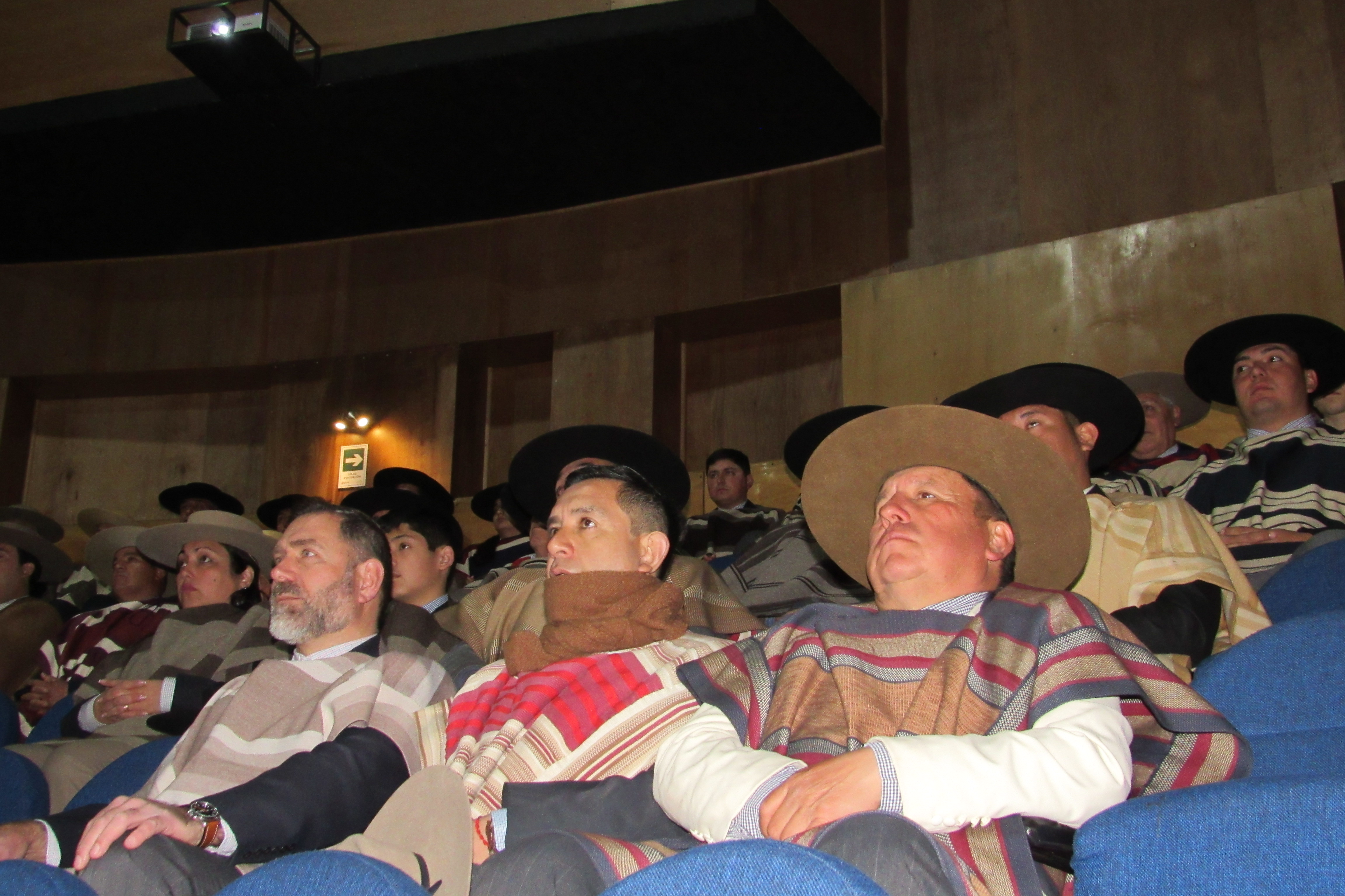 Fotografía 7 del álbum de CHARLA MASIVA EN LA ASOCIACION RIO ÑUBLE