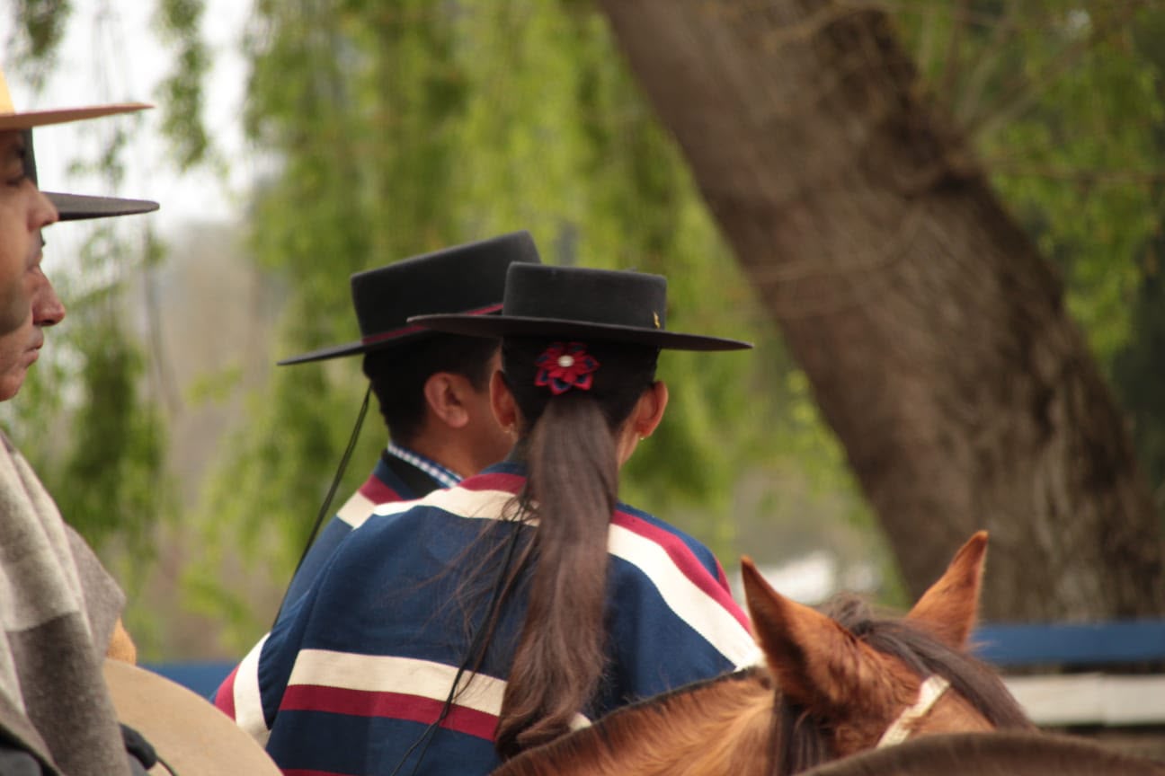 Fotografía 14 del álbum de Asociación Rio Ñuble dio el vamos a la temporada, en el Carmen en el  Rodeo del Club de huasos Navidad