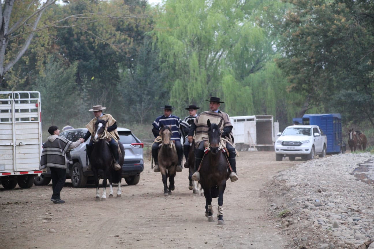 Fotografía 15 del álbum de Asociación Rio Ñuble dio el vamos a la temporada, en el Carmen en el  Rodeo del Club de huasos Navidad
