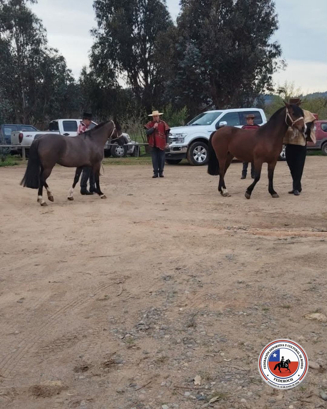Fotografía 9 del álbum de Actividad de la Asociación San Javier de Loncomilla